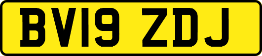 BV19ZDJ