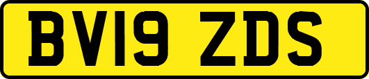 BV19ZDS