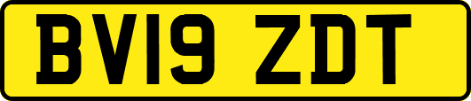 BV19ZDT