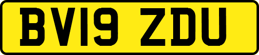 BV19ZDU