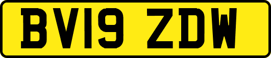 BV19ZDW