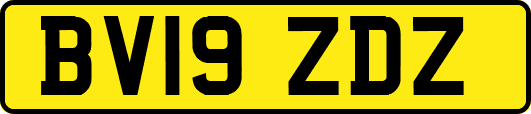 BV19ZDZ