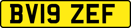BV19ZEF