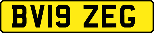 BV19ZEG