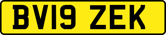 BV19ZEK