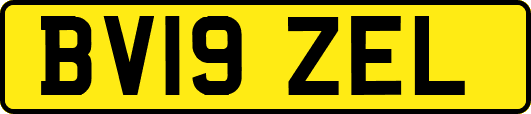 BV19ZEL