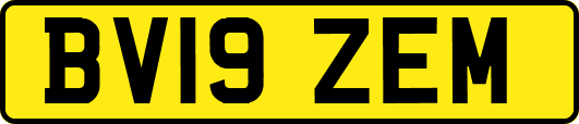 BV19ZEM