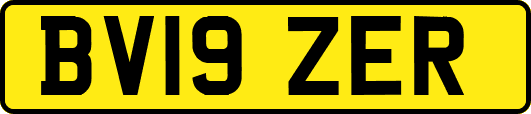BV19ZER