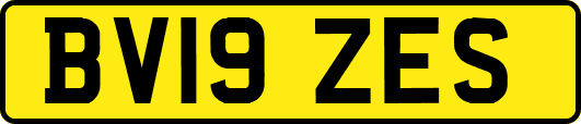 BV19ZES