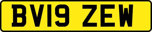 BV19ZEW