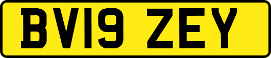BV19ZEY