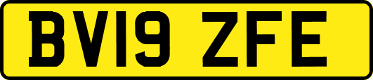 BV19ZFE