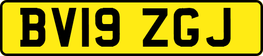 BV19ZGJ