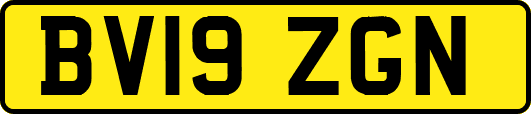 BV19ZGN