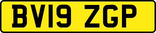 BV19ZGP