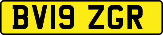 BV19ZGR
