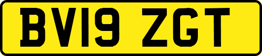 BV19ZGT