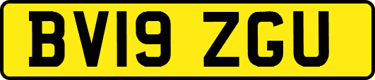 BV19ZGU
