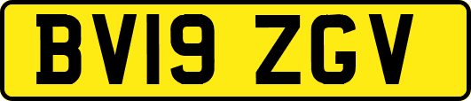 BV19ZGV