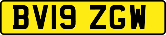 BV19ZGW
