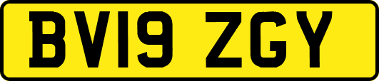 BV19ZGY
