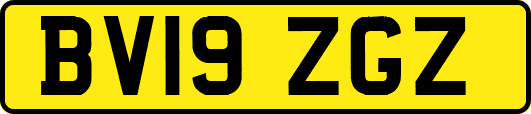 BV19ZGZ