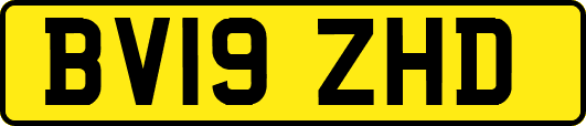 BV19ZHD