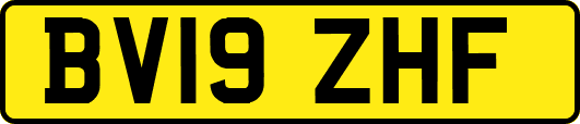 BV19ZHF