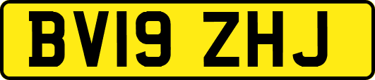 BV19ZHJ