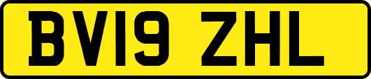 BV19ZHL