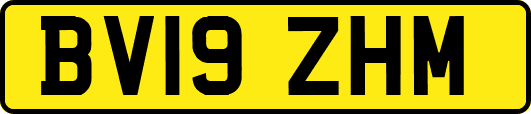 BV19ZHM