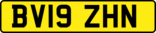 BV19ZHN
