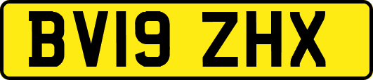 BV19ZHX