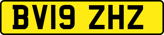 BV19ZHZ