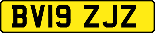 BV19ZJZ