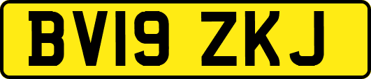BV19ZKJ