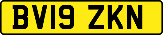 BV19ZKN