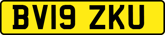 BV19ZKU