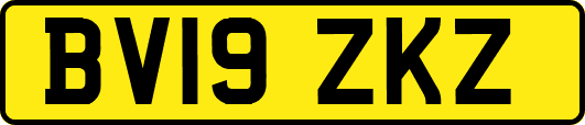 BV19ZKZ