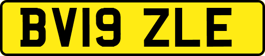BV19ZLE