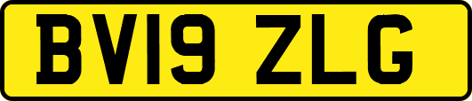 BV19ZLG