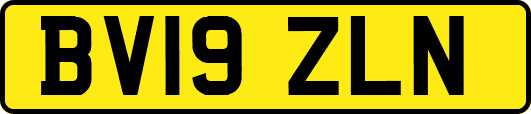 BV19ZLN