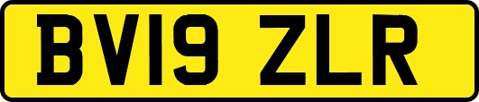 BV19ZLR