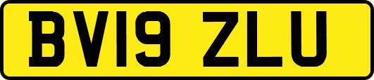 BV19ZLU
