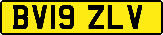 BV19ZLV
