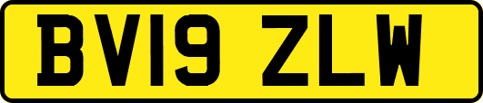 BV19ZLW