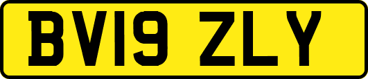 BV19ZLY