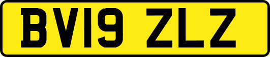 BV19ZLZ
