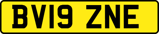 BV19ZNE
