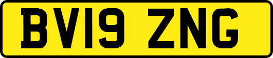 BV19ZNG